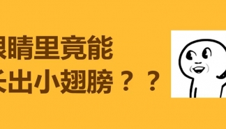 科普 | 眼睛里還能長出了“蟲子翅膀”？